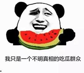 娱乐吃瓜酱很庆幸,庆幸见证娱乐圈风云变幻